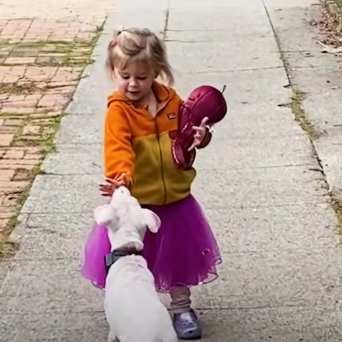 Toddler with deaf puppy