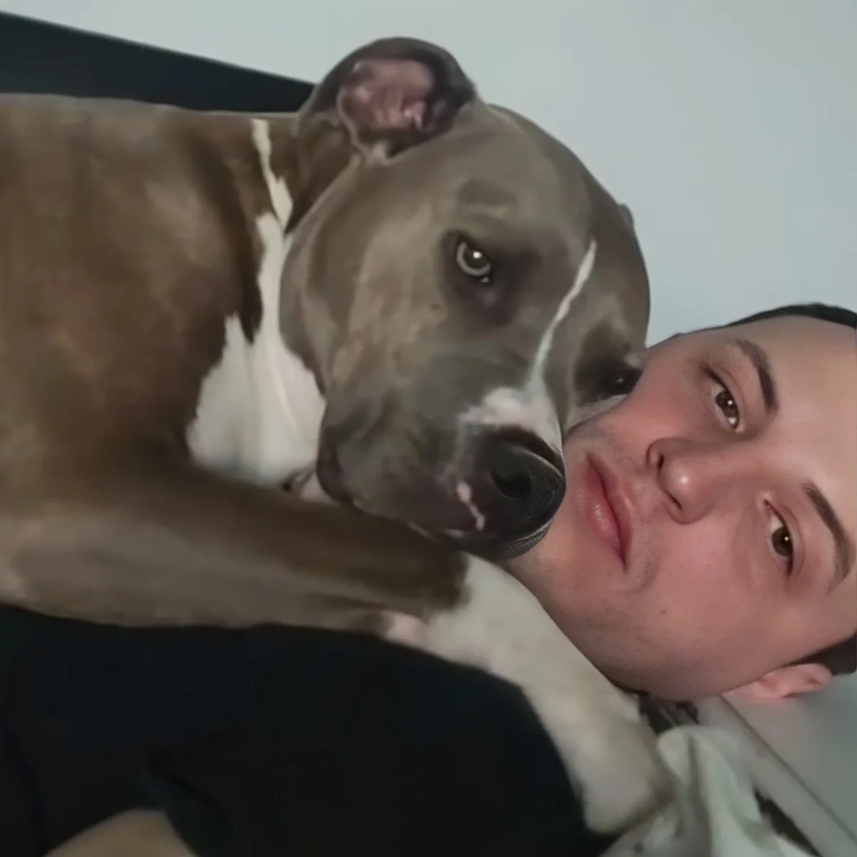 Dig with his human dad