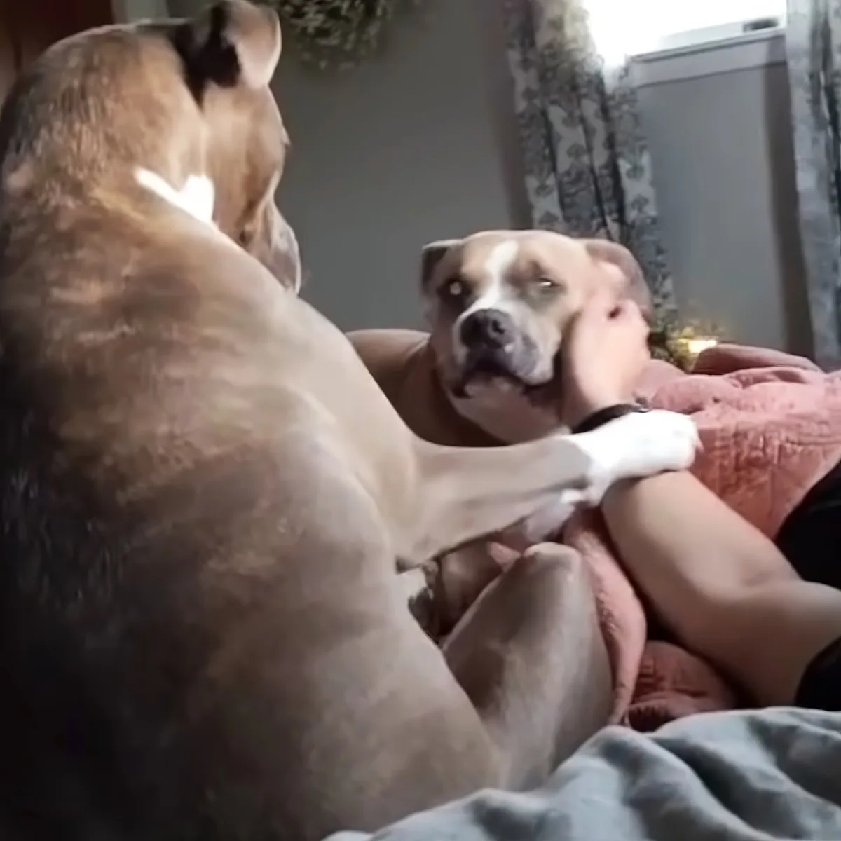 Dog with his best friend