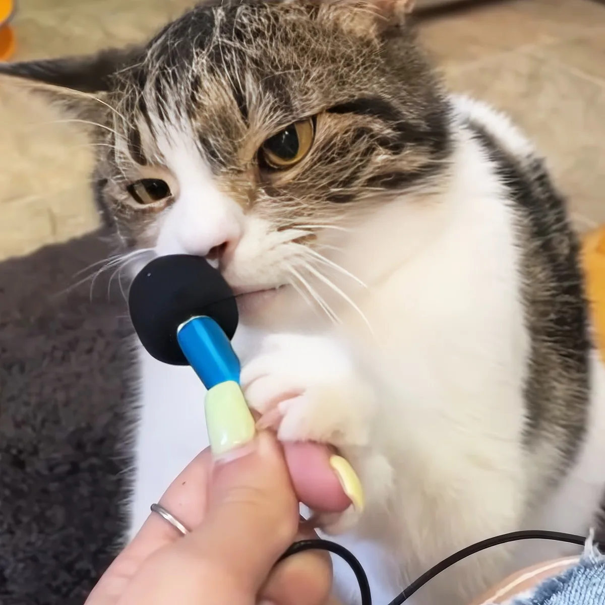Woman interviews cat