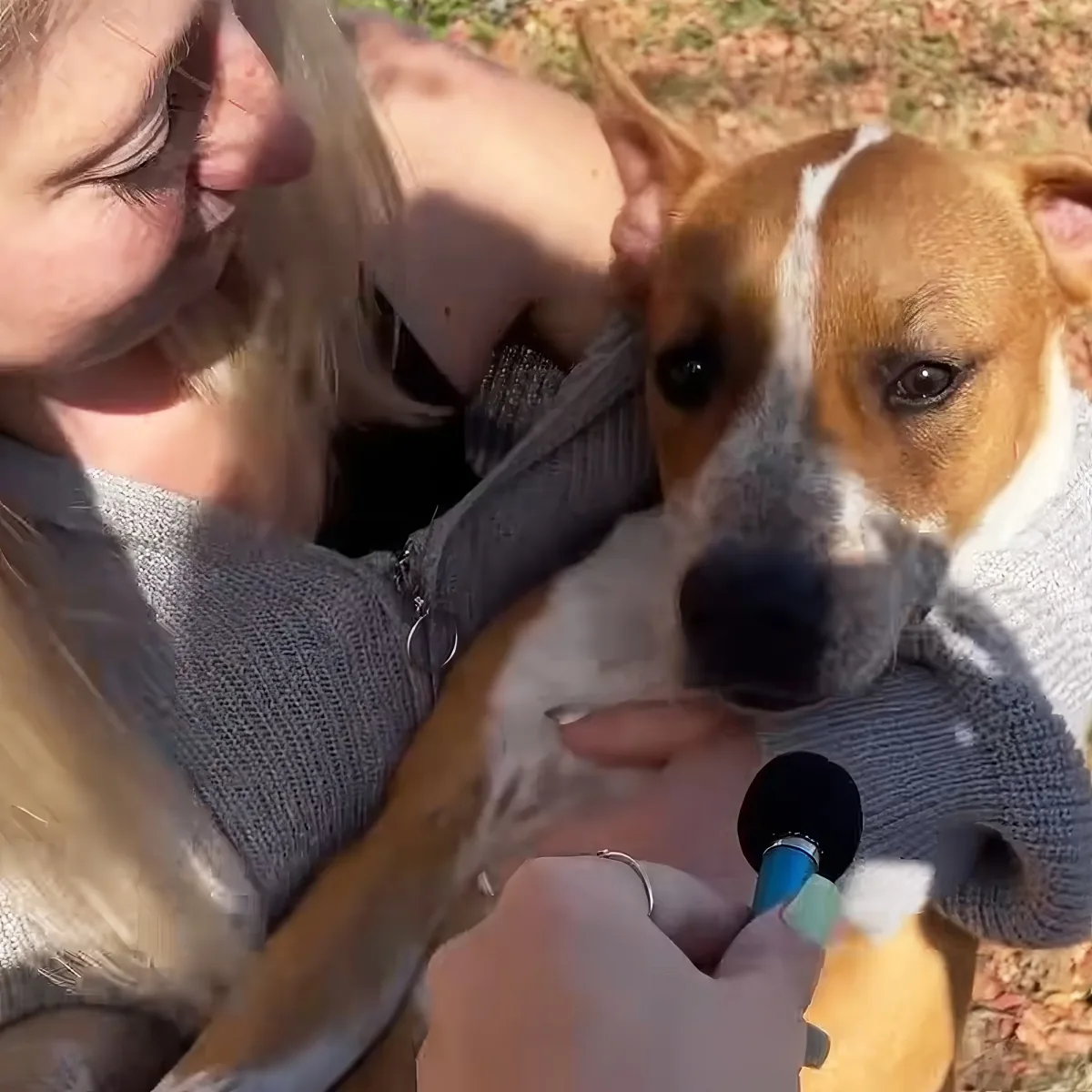 Woman interviews shelter animals