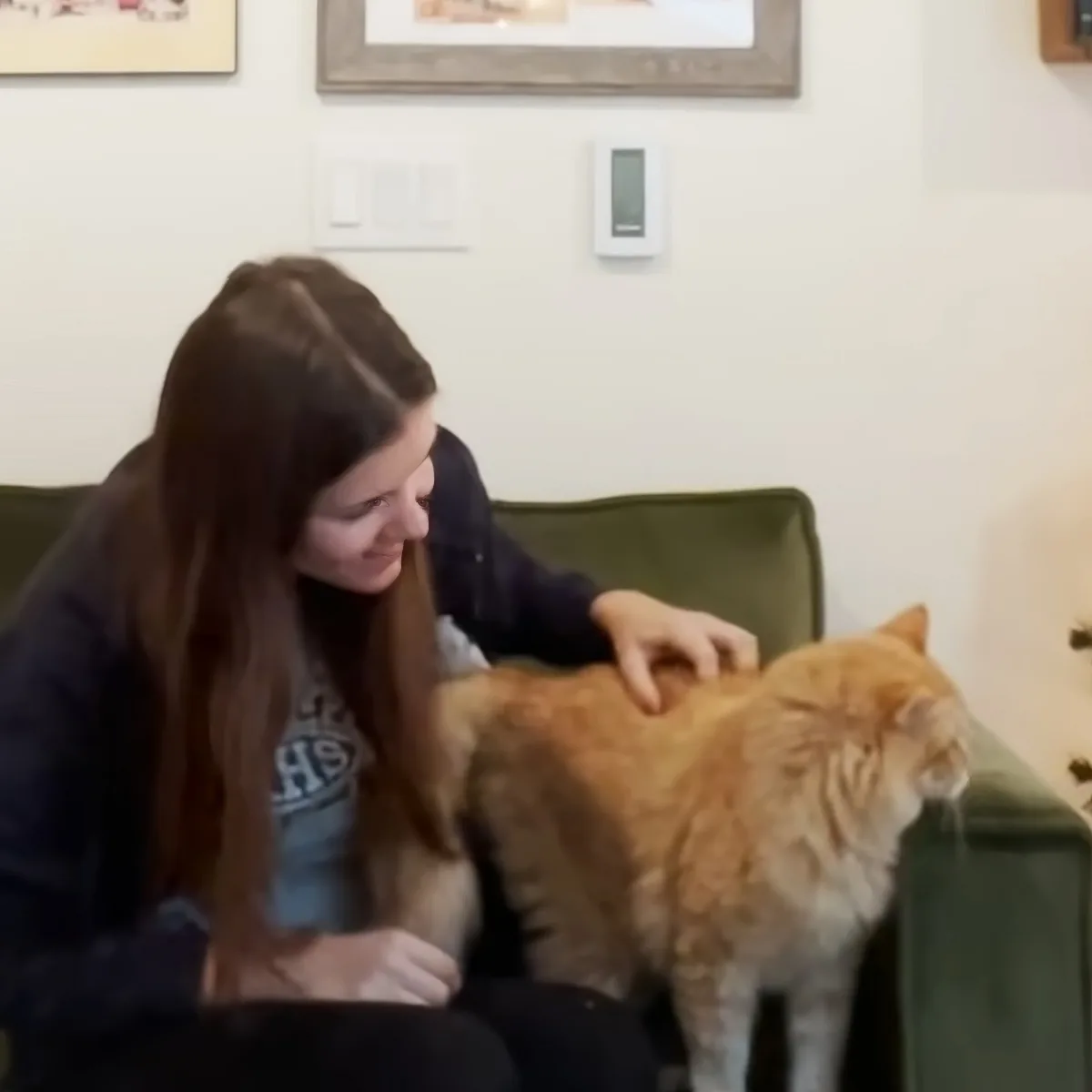 A woman pets a fluffy orange cat on a green couch in a cozy room.