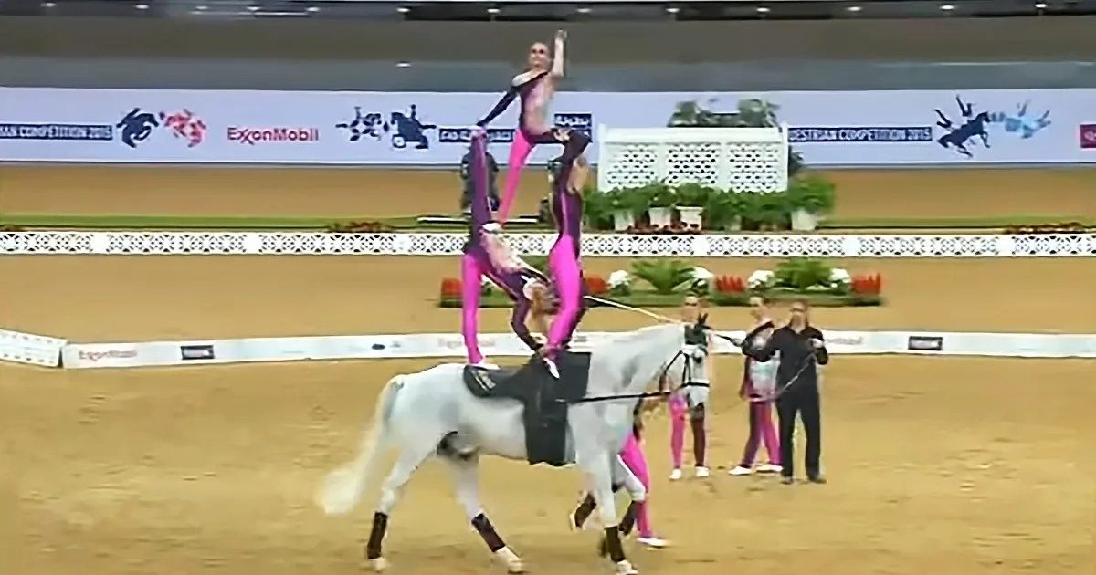 A performer in pink and purple is balancing on a horse in a circus-like setting.
