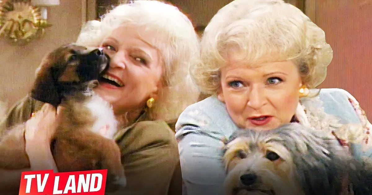 Betty White Rescues Animals as Rose Nylund on ''The Golden Girls''