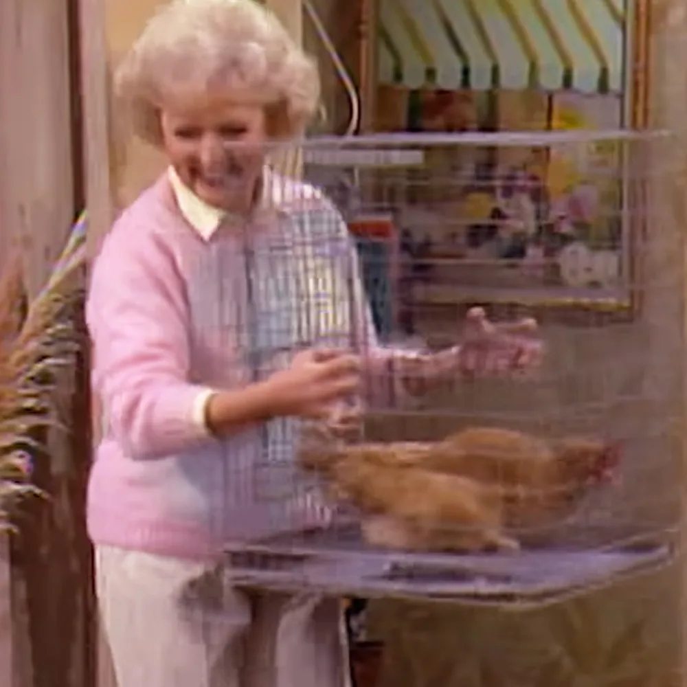 A woman in a pink sweater holds a clear cage with a chicken inside, smiling.