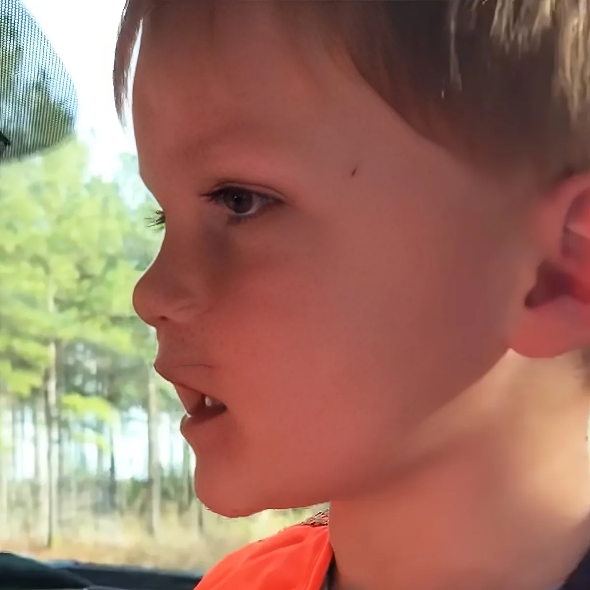 A young boy with short hair, wearing an orange shirt, is looking out a window with trees visible outside.