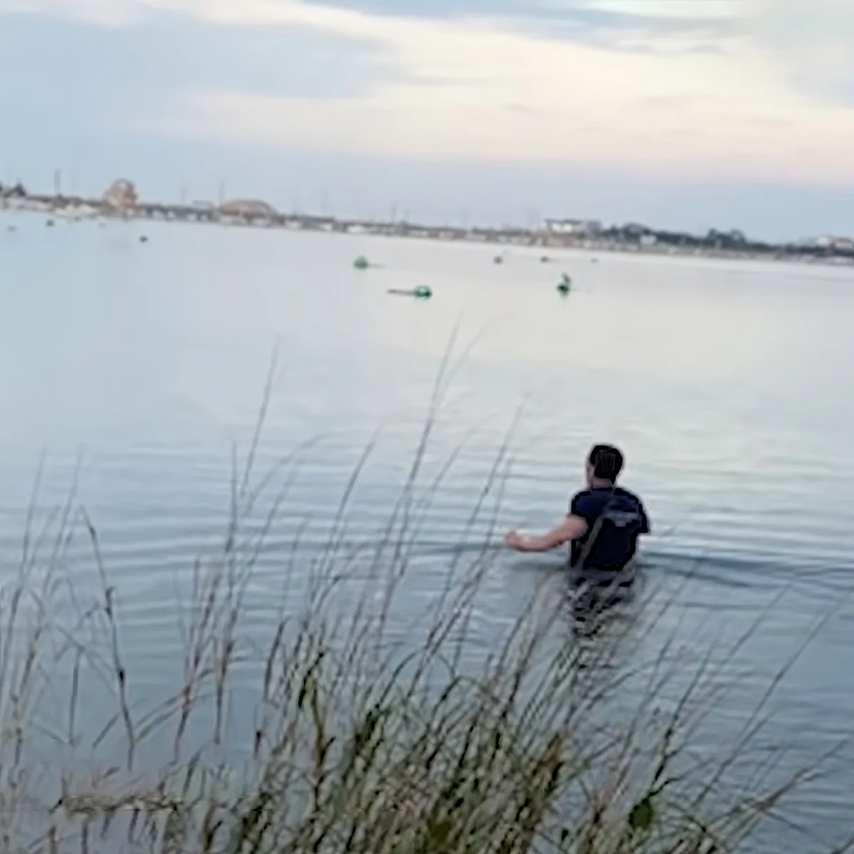 Man helps deer trapped in a bucket