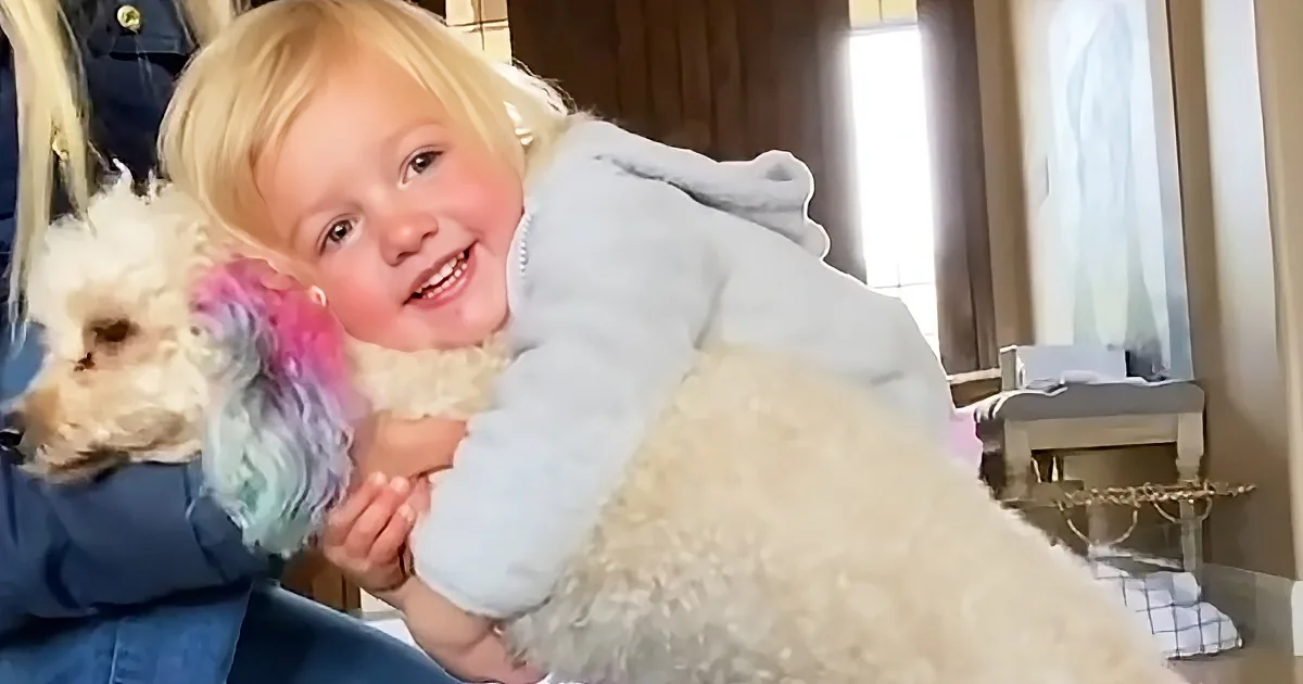 Poodle and baby