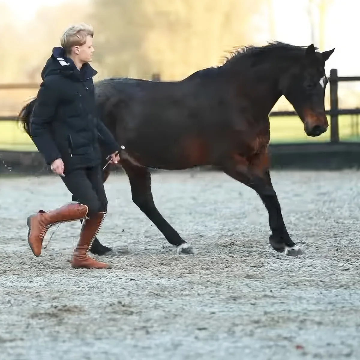 Jesse Drent and horse