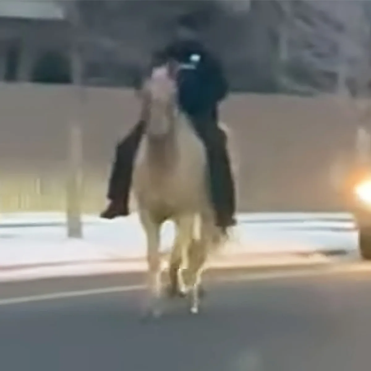 County Sherriff and horse