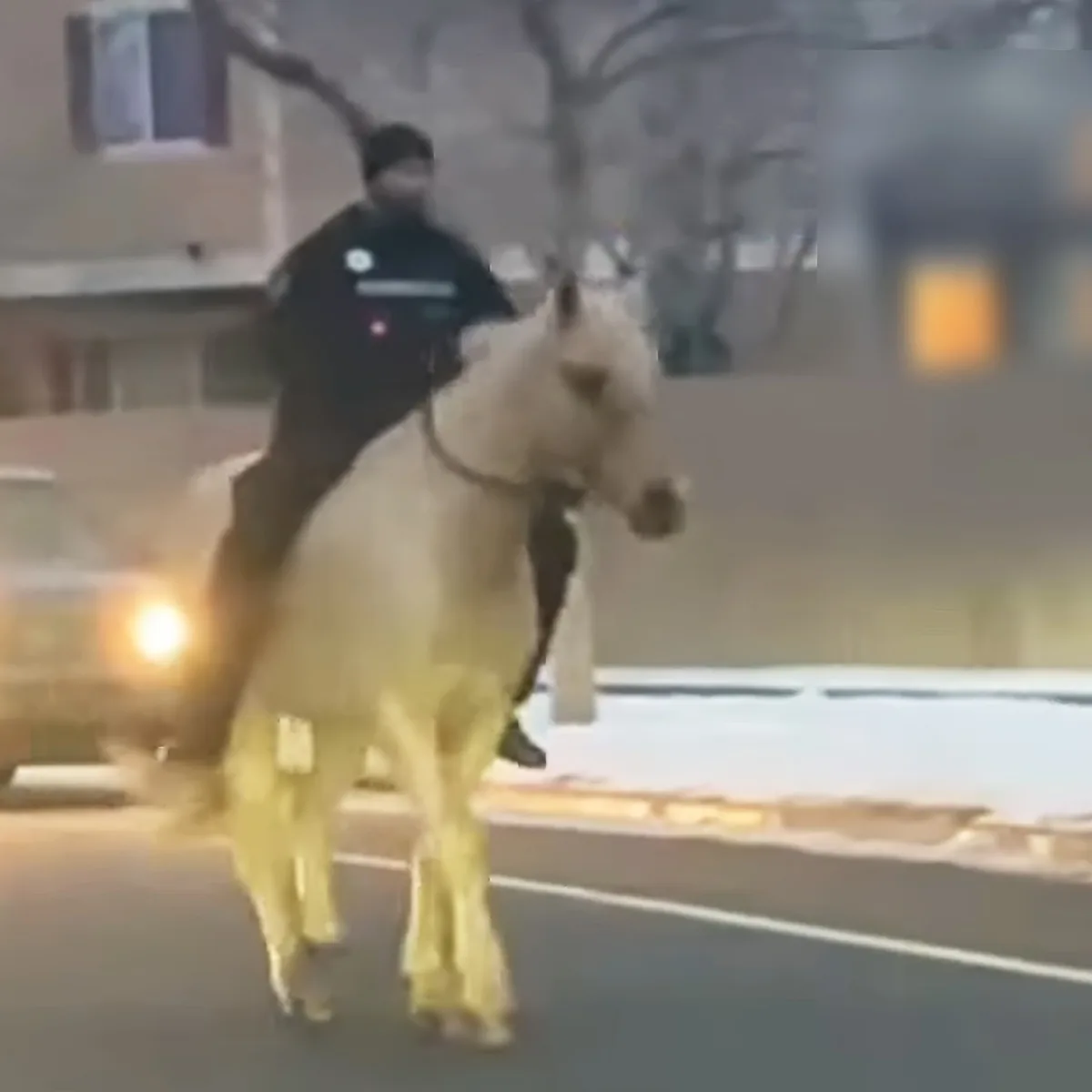 County Sherriff and horse