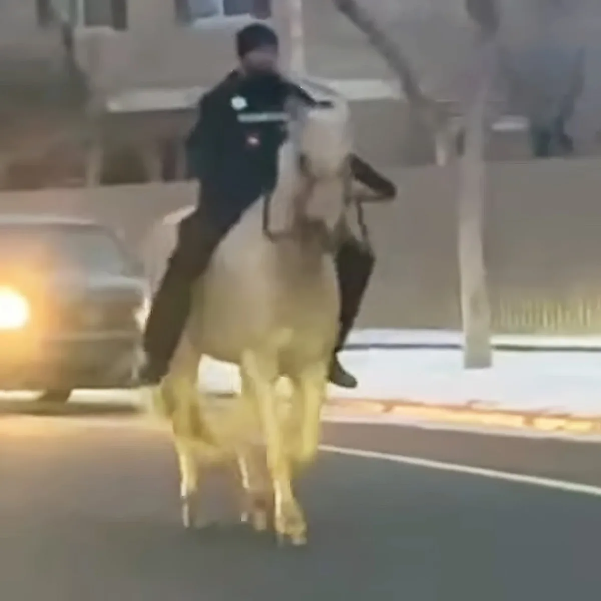 County Sherriff and horse