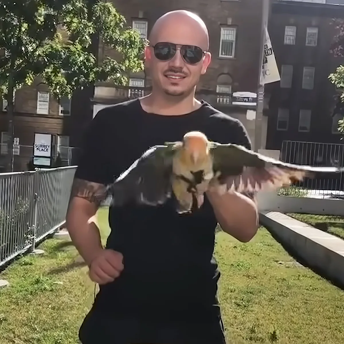 A man in a black shirt holds a bird on his outstretched arm in an outdoor setting.