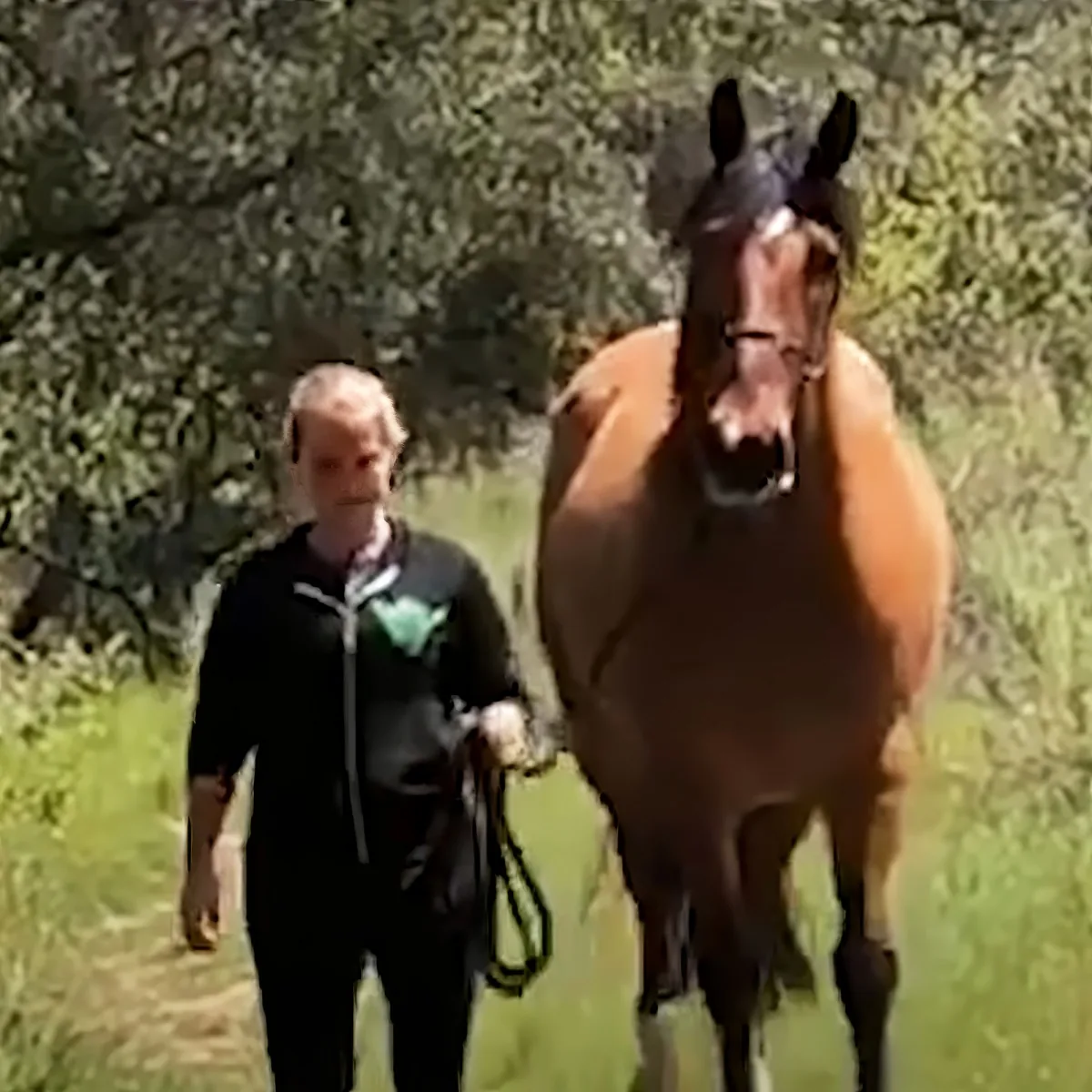 Woman reunites with horse