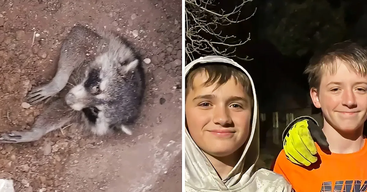 A raccoon lies on the ground, while two children, one in a hoodie and the other in an orange shirt, stand nearby.