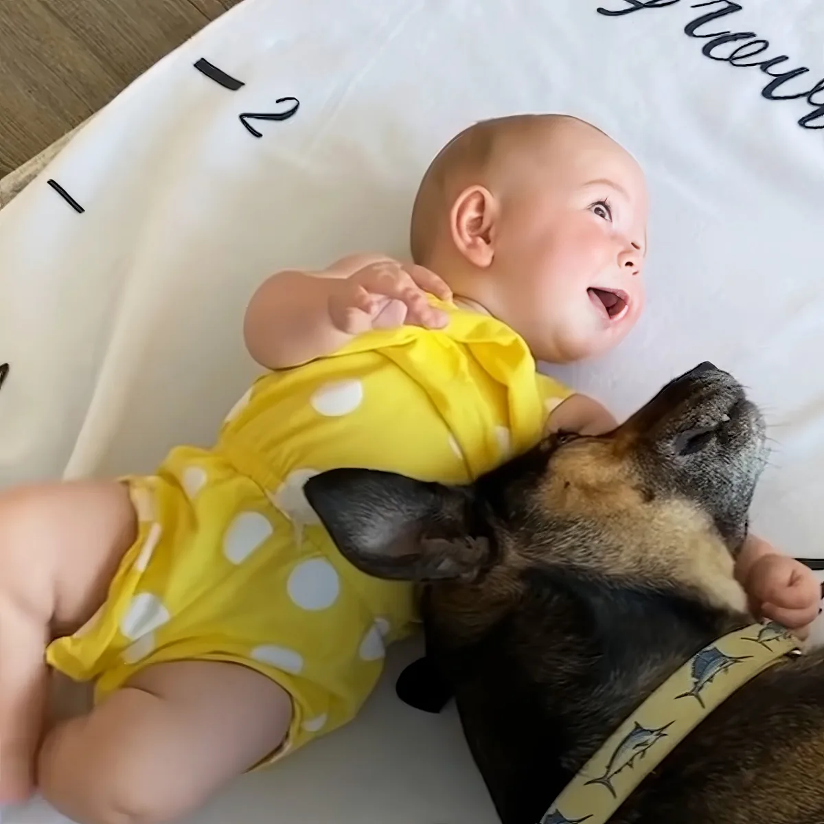 Adorable dog and baby