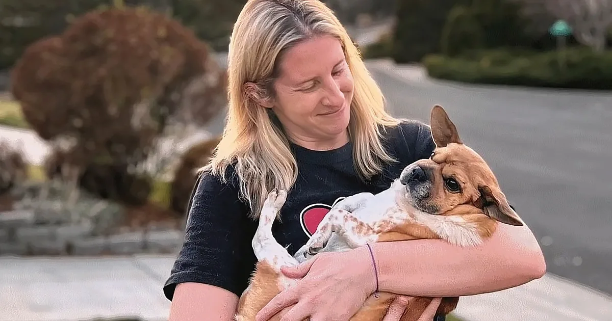 Woman Adopts Unique Dog That Is a Mix of 13 Breeds