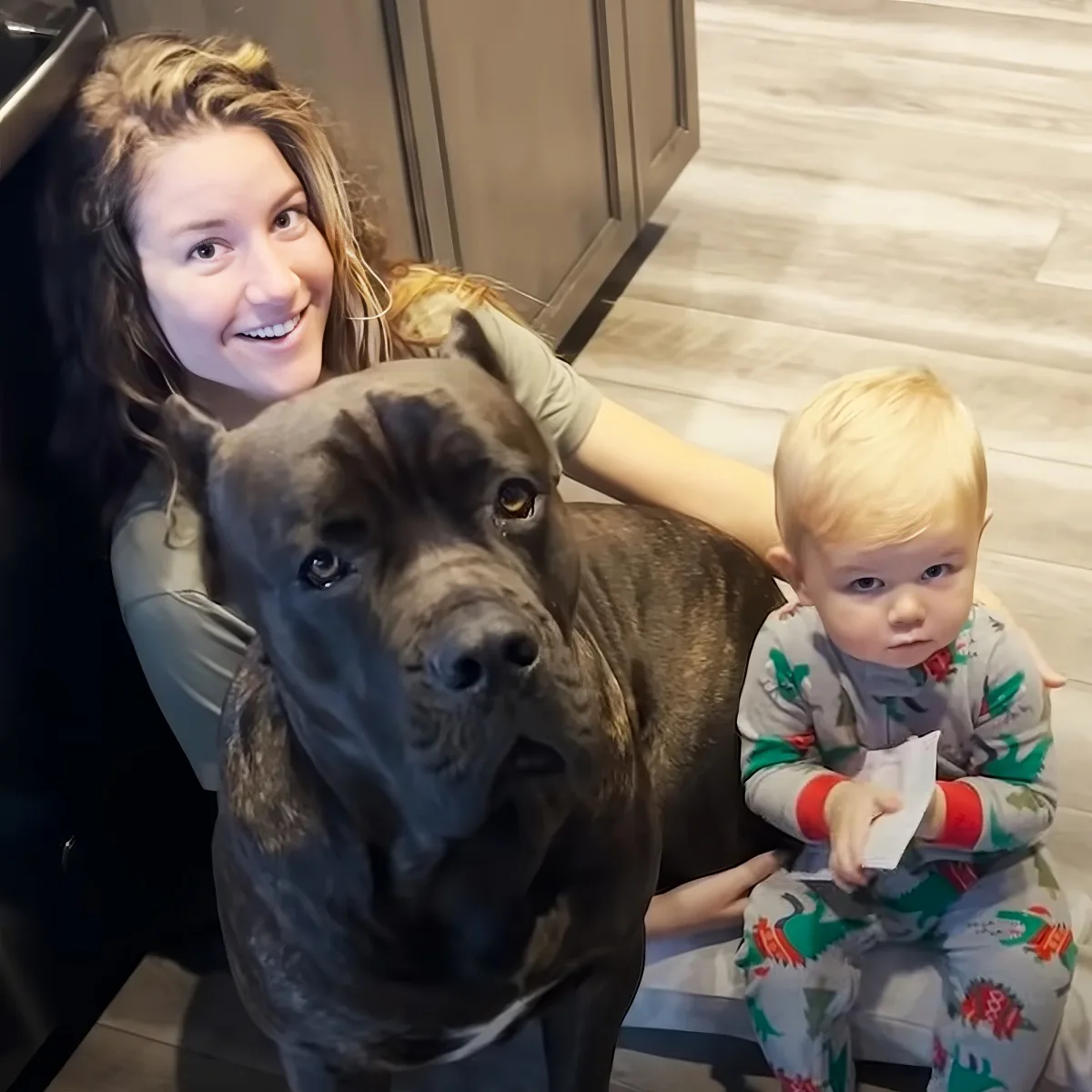 Dog and baby