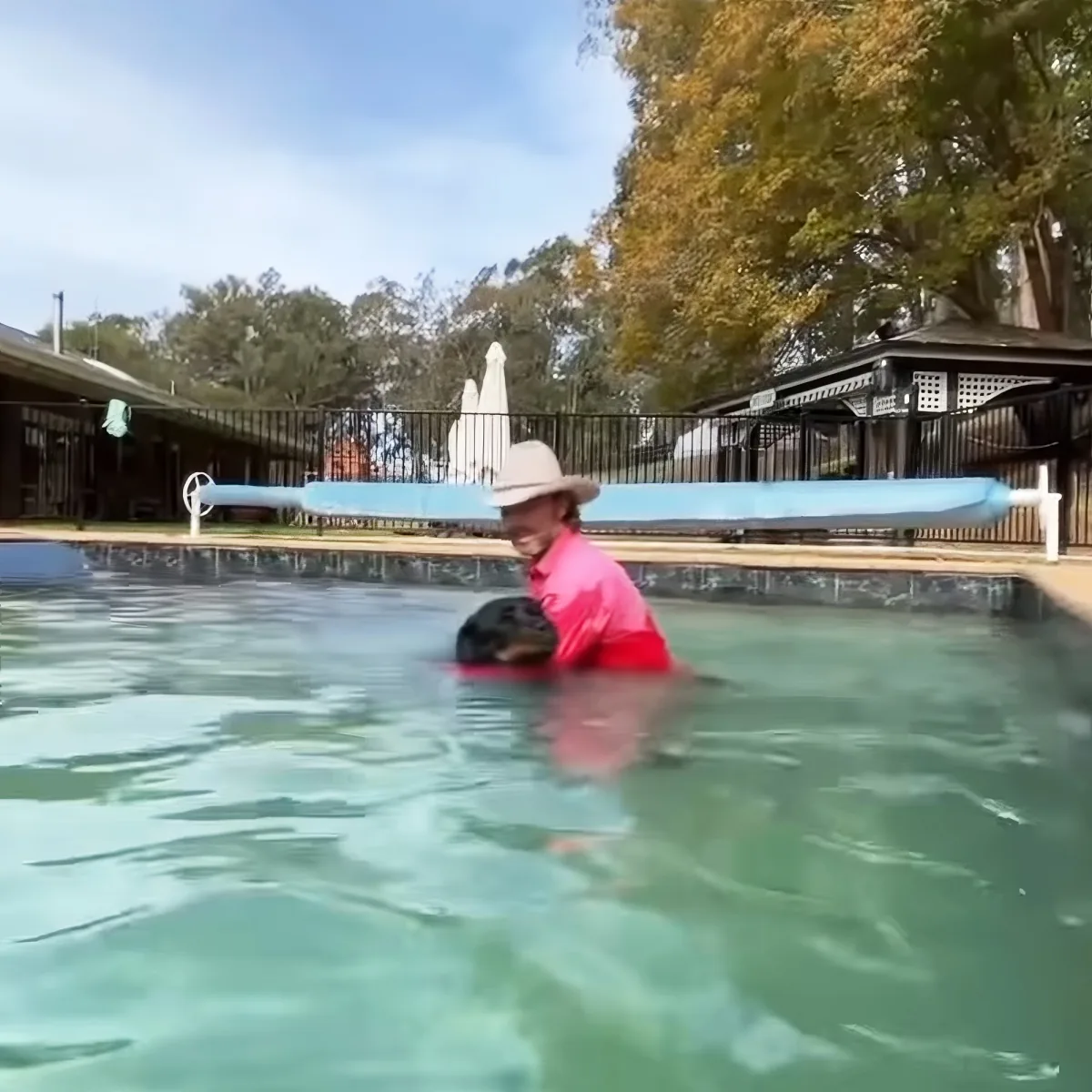 Dog in a Pool