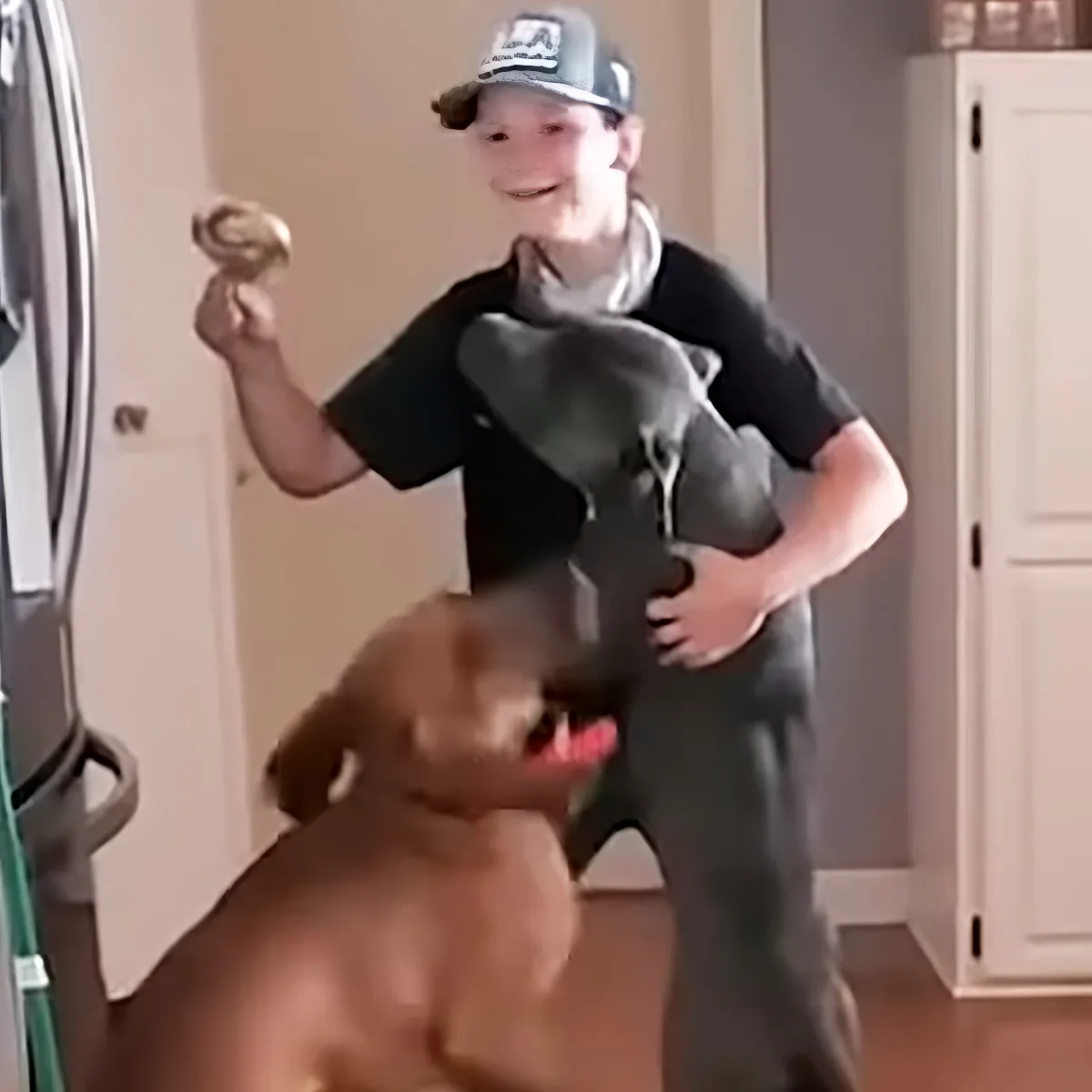 Little boy and dog