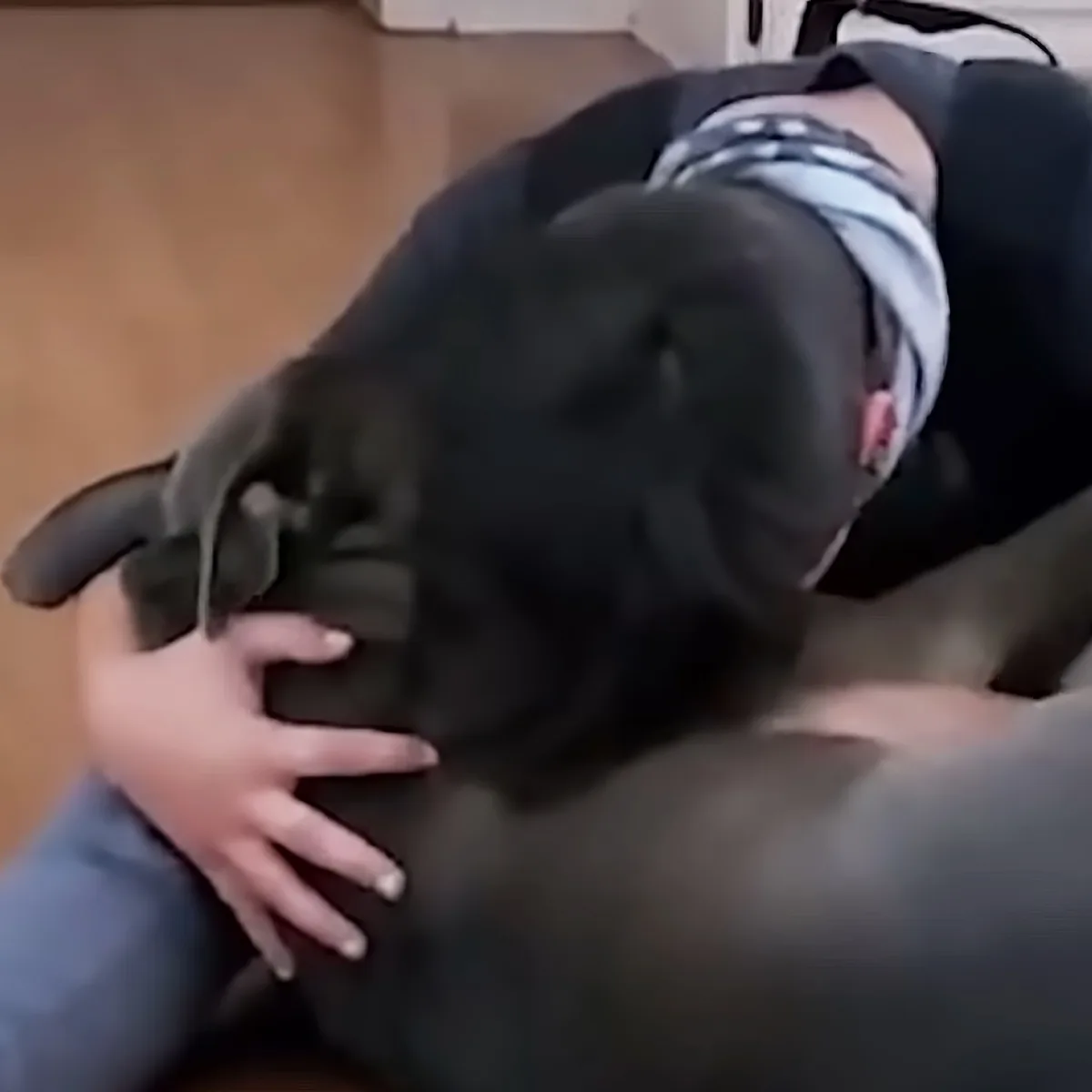 Little boy and dog