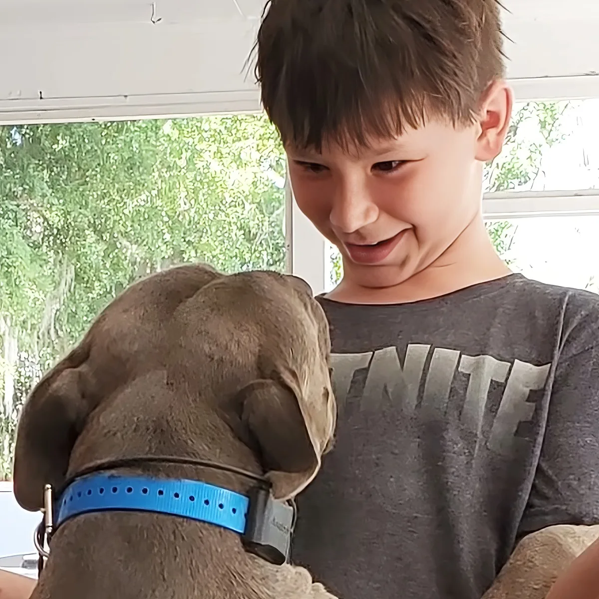 Little boy and dog