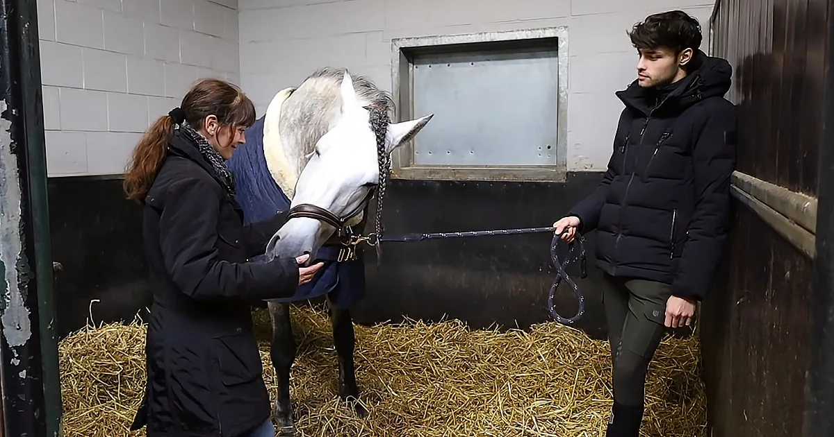 Horse psychic and horse