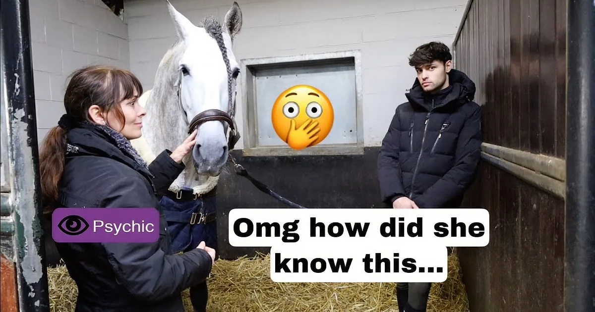 A white horse wearing a blue blanket is being held by two people in a stable with hay on the ground.