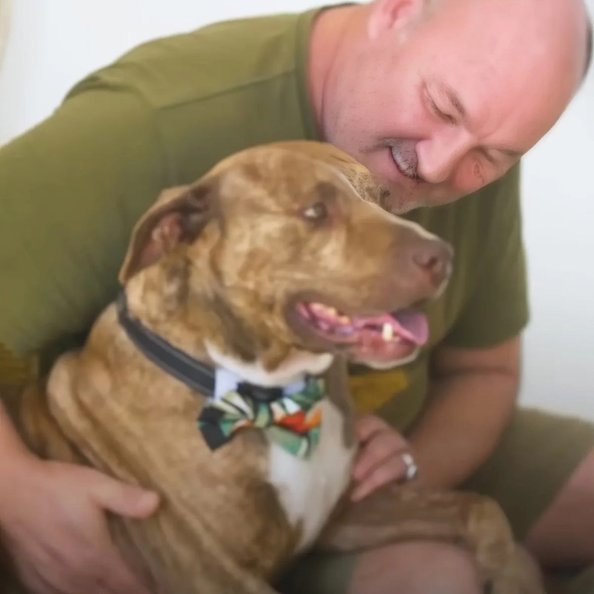 A man in a green shirt holds a smiling dog wearing a colorful bow tie.