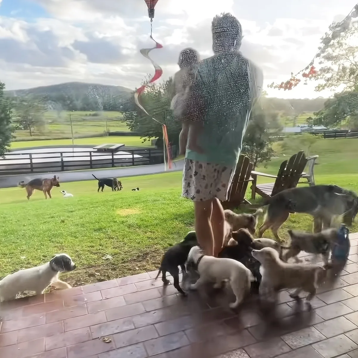 A person stands on a brick patio surrounded by a group of small dogs, with a grassy field and wind chime in the background.