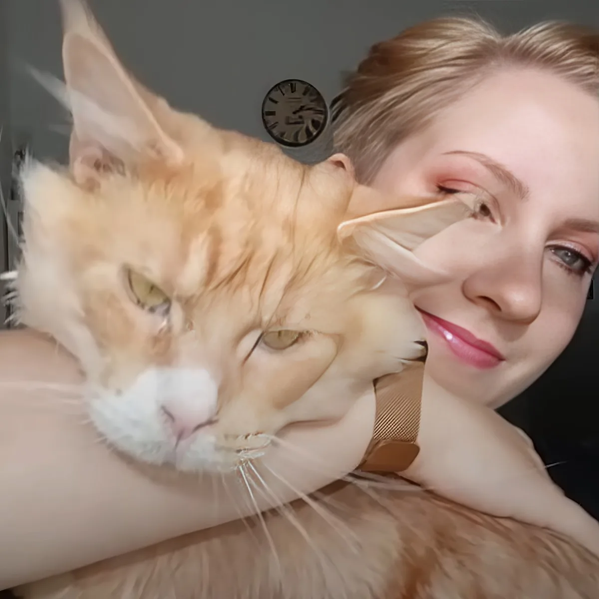 A ginger cat with white markings is being held by a person with light skin and pink lipstick.
