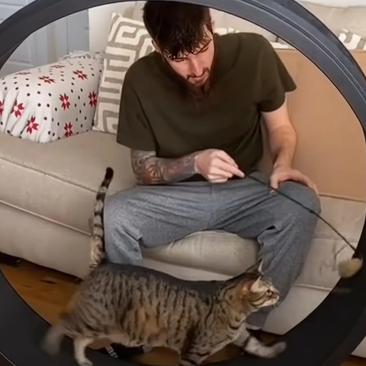 A man sits on a couch, holding a string toy, while a tabby cat walks on a circular platform.