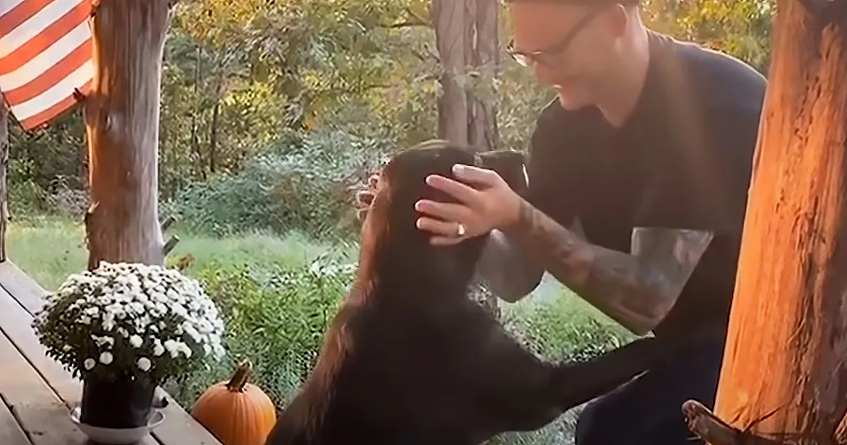 A man pets a dog on a porch with an American flag, flowers, and pumpkins in the background.