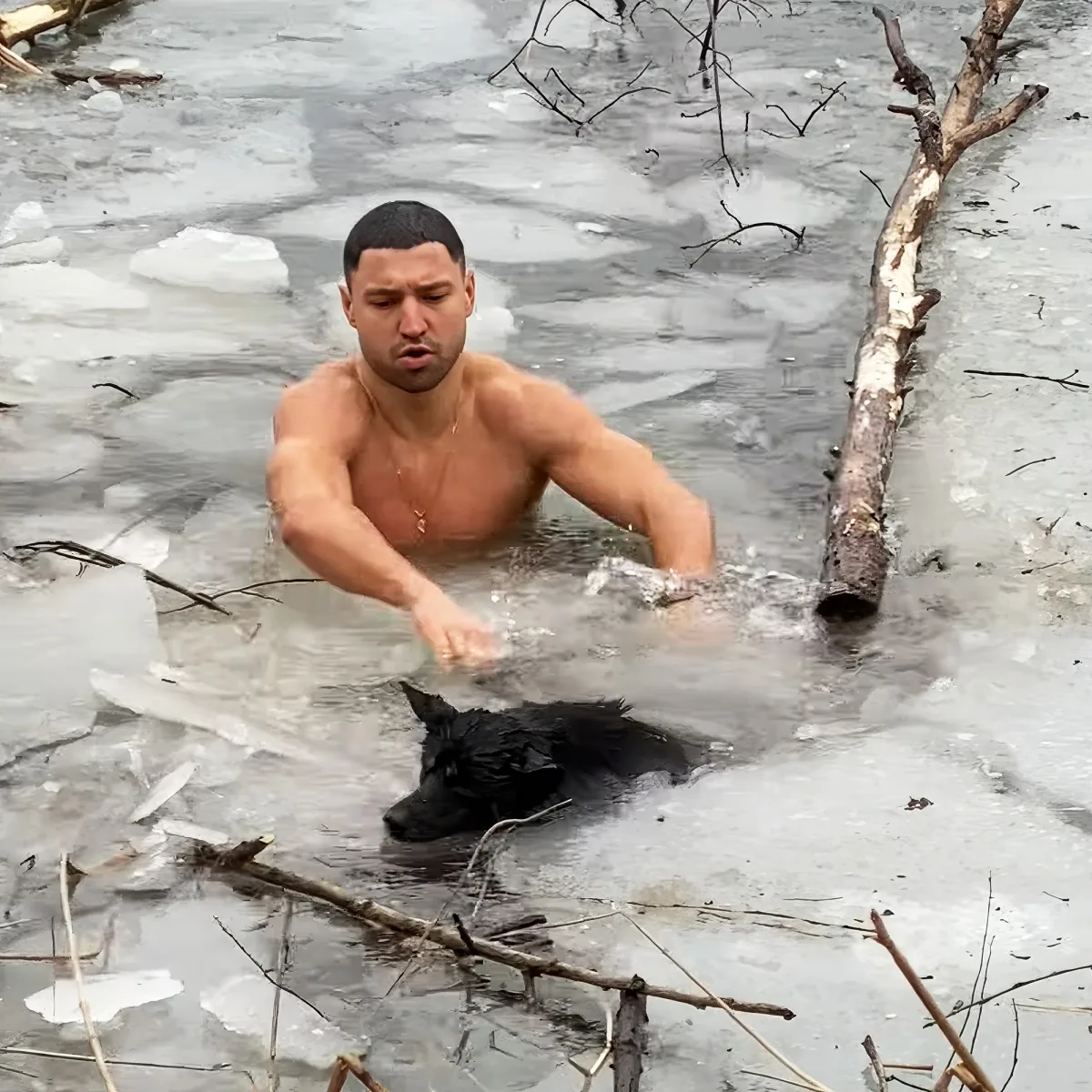 Ukrainian hero save dog trapped in icy lake