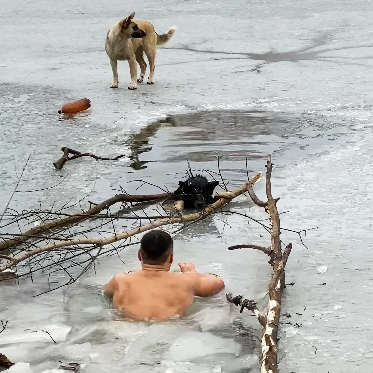Ukrainian hero save dog trapped in icy lake