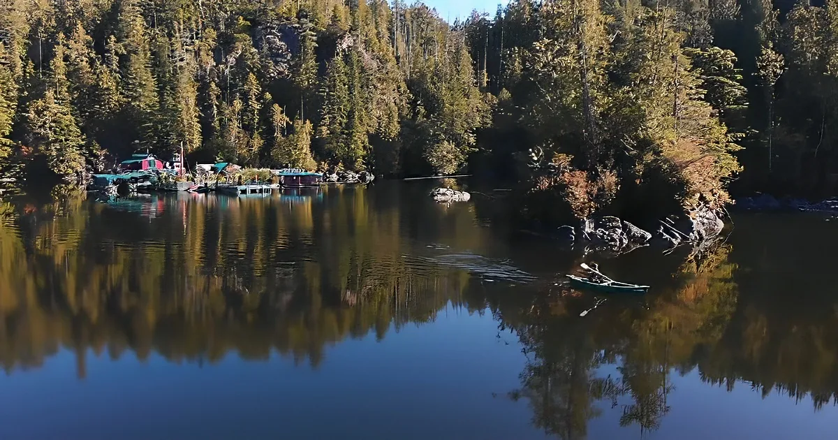 A person paddles a green canoe on a calm lake surrounded by dense forest.