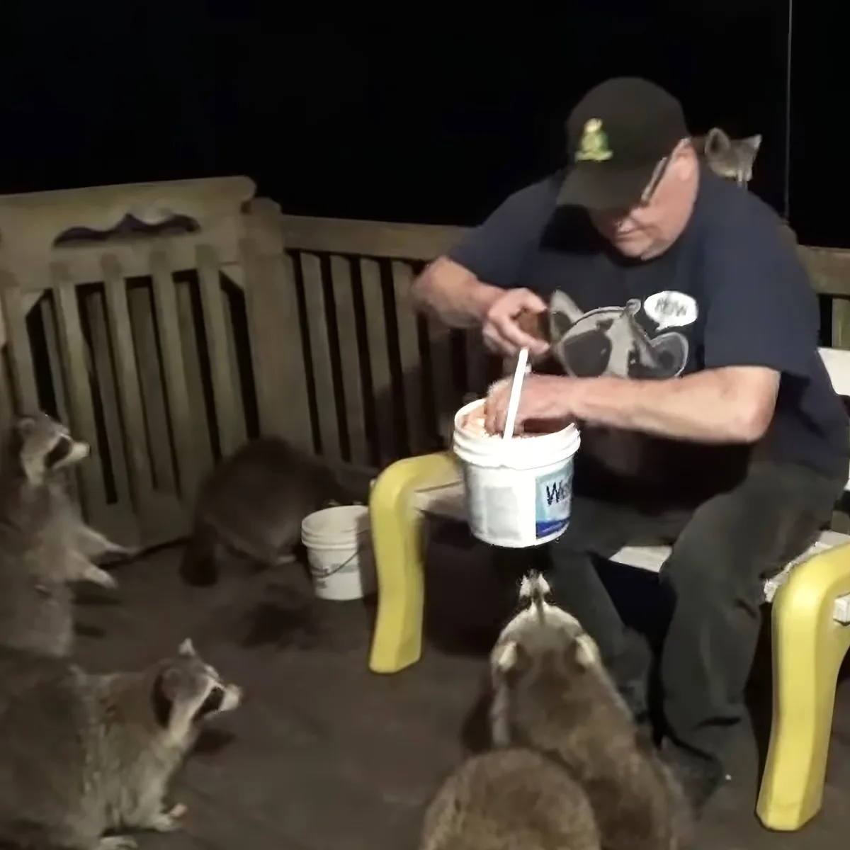 A man feeds raccoons on a deck at night, surrounded by several raccoons.