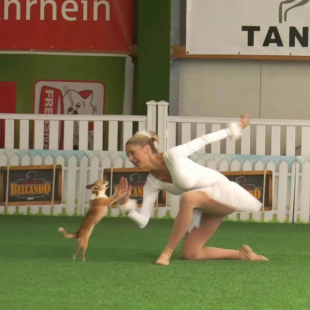 A woman in a white outfit is performing a ballet move while a small dog jumps to give her a high-five.