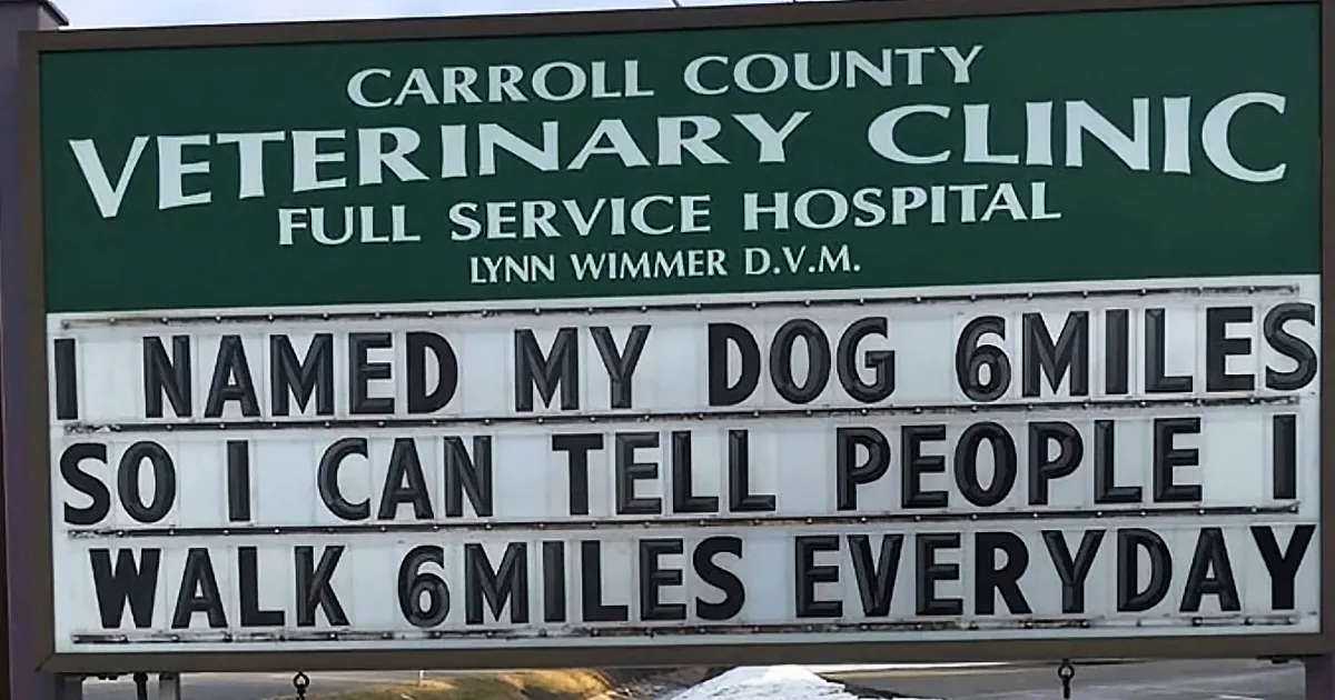 Veterinary Clinic Draws in Customers With the Funniest Outdoor Sign