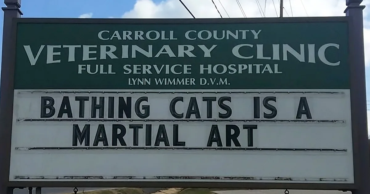 A veterinary clinic sign humorously states "Bathing Cats is a Martial Art" below the clinic's name.