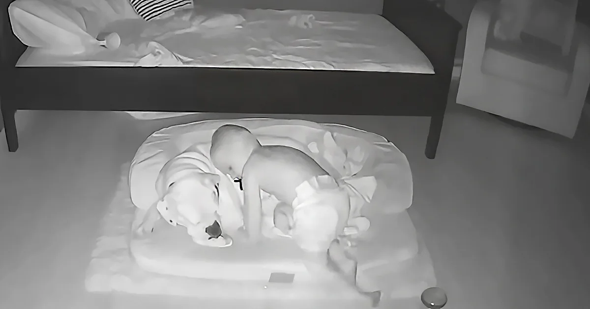 A baby is lying on a changing pad next to a dog, both appearing relaxed.