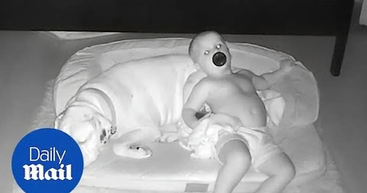Nanny-Cam Captures Toddler Sneaking out of Bed to Join His Furry-Friend