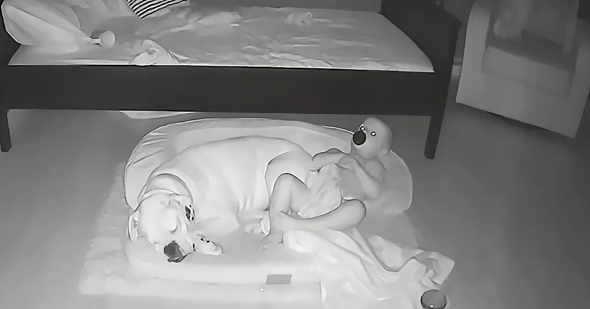 A dog and a baby are lying on a white blanket on the floor, both appearing to be sleeping.