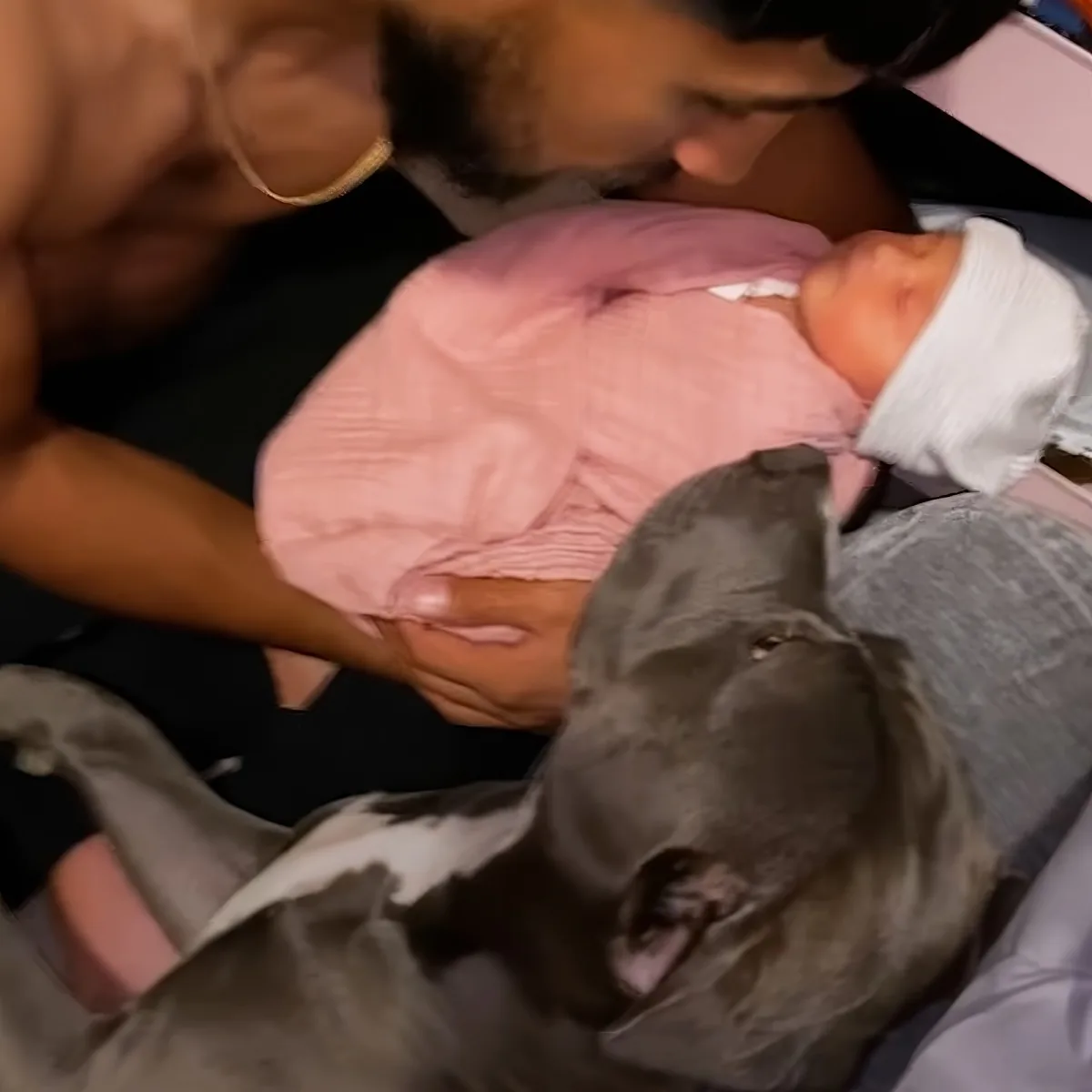 A man holds a baby in a pink outfit, with a gray dog lying nearby, both appearing calm and attentive.