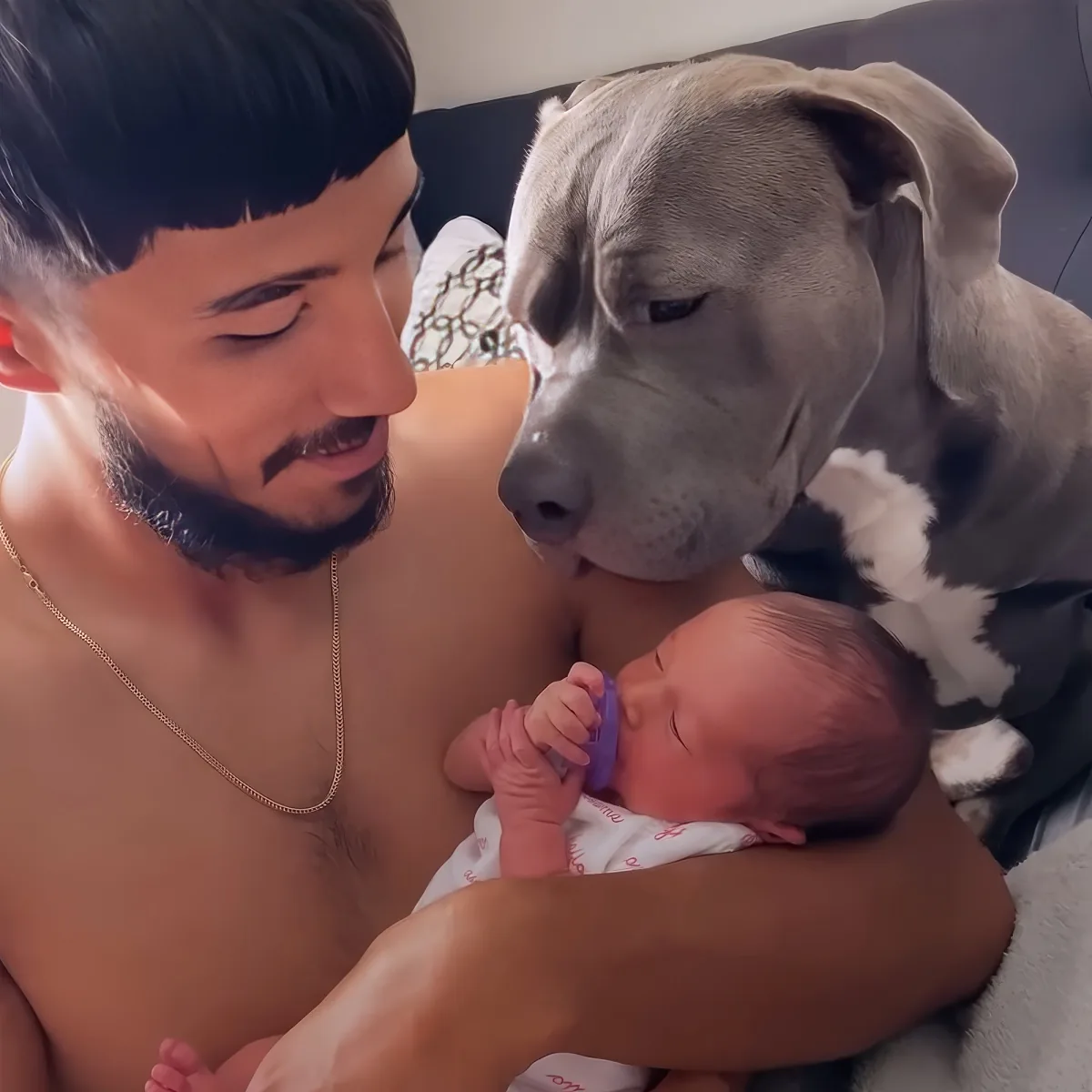A man holds a newborn baby while a large dog looks on, both appearing calm and attentive.