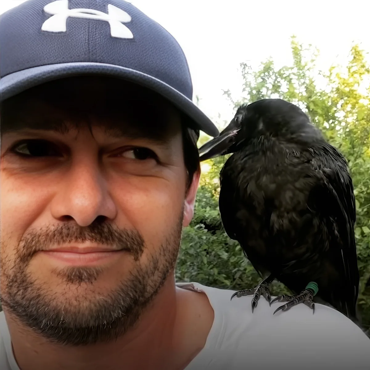 Crow and his rescuer