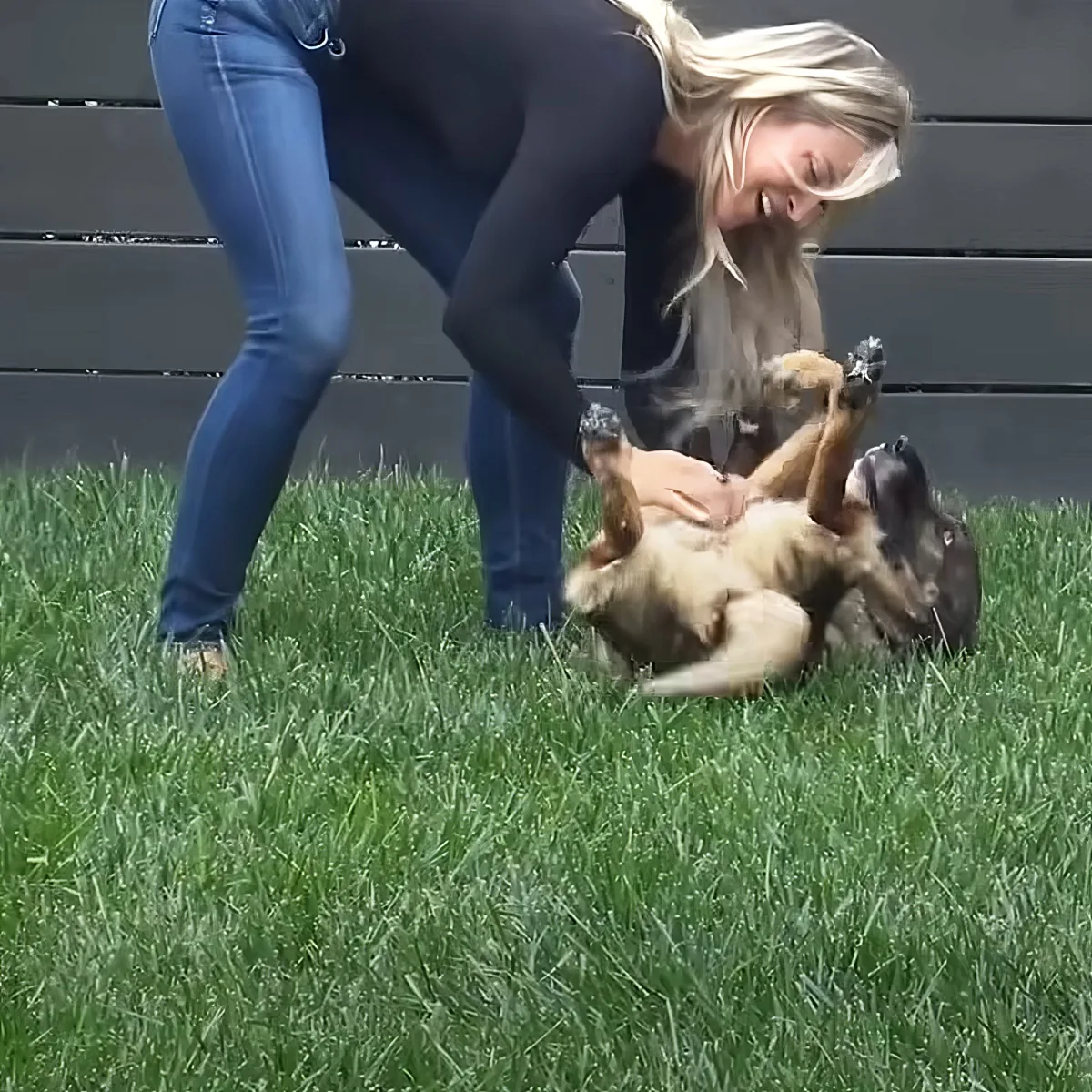 A woman in jeans bends over, smiling, as a playful dog rolls on its back in the grass.