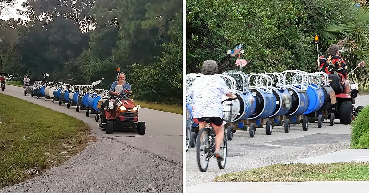 Senior Couple Builds 'Dog Train' to Take Rescued K9s on Adventures