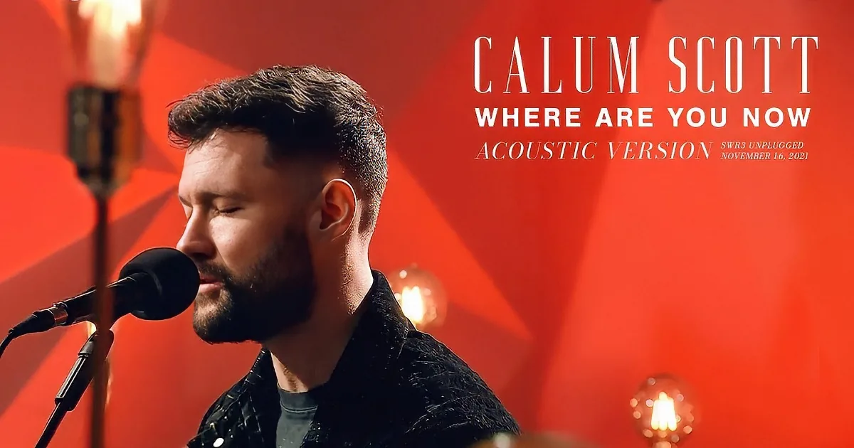 A man with short hair and a beard sings into a microphone, illuminated by red and yellow lights.