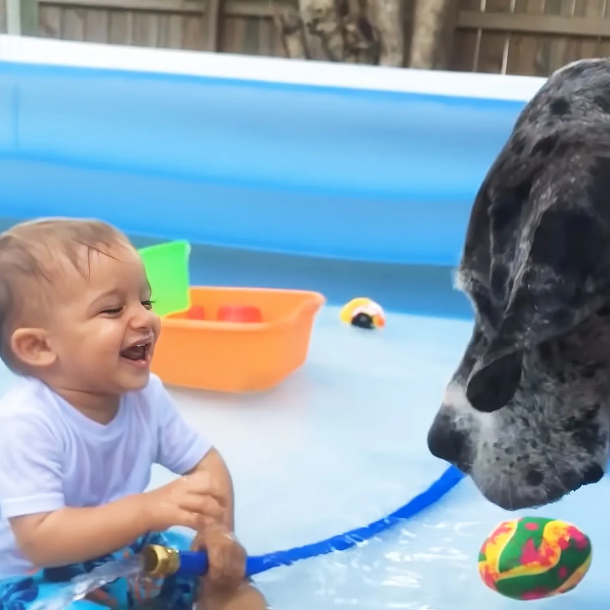 A baby laughs joyfully while playing with a hose in a pool, with a dog's nose nearby.